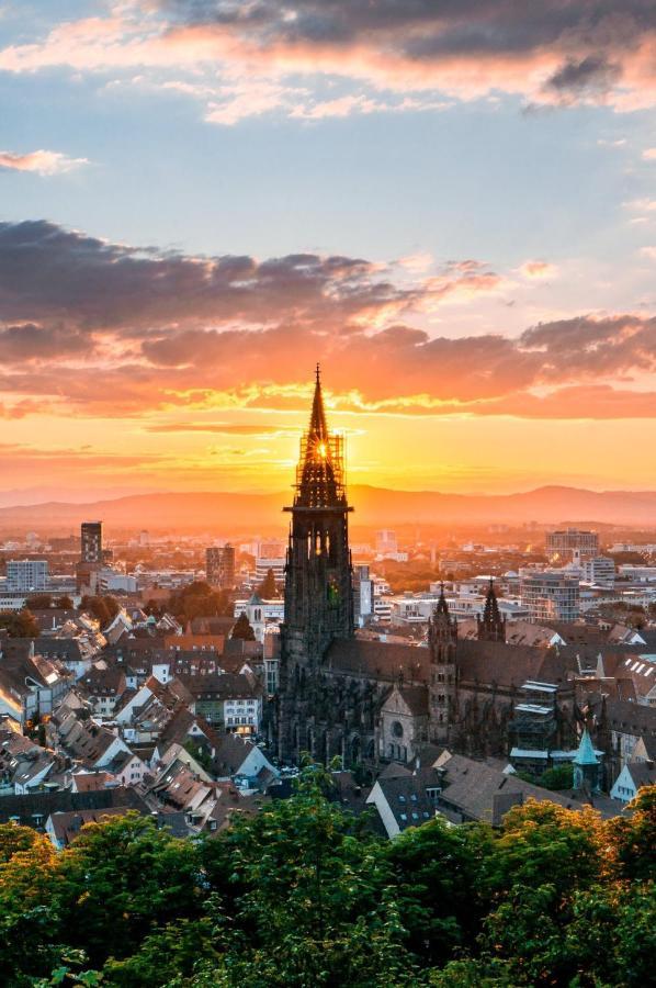 Studio Rome In Der Altstadt Apartment Freiburg im Breisgau Ngoại thất bức ảnh