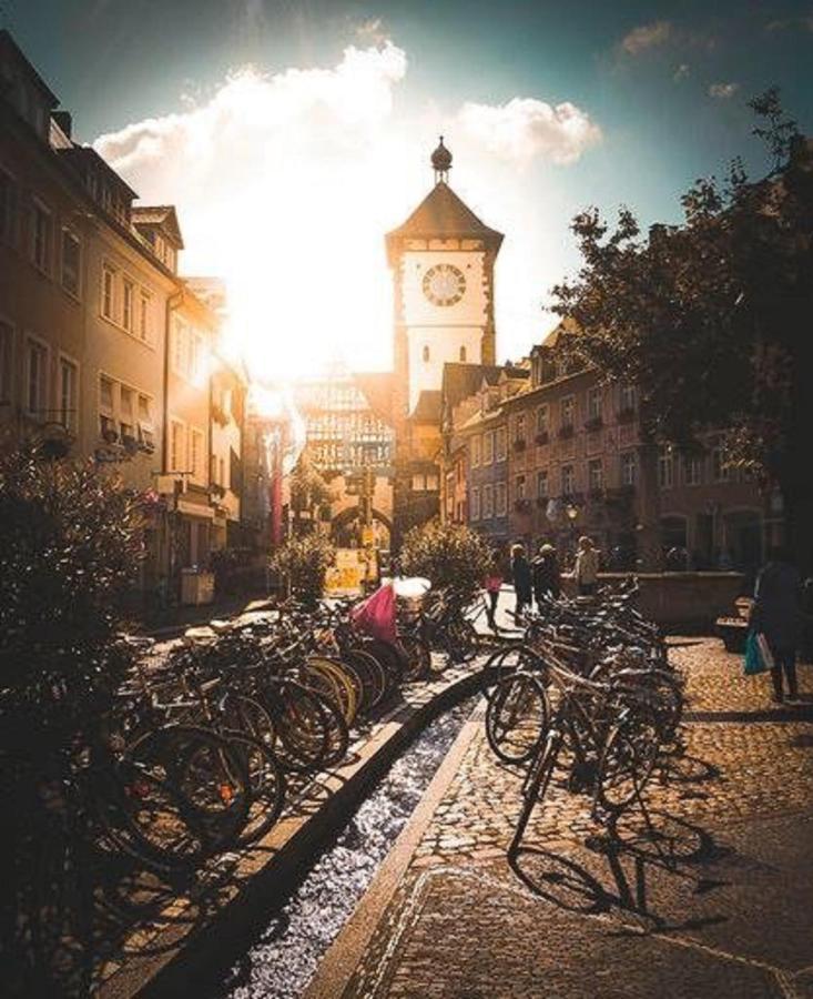 Studio Rome In Der Altstadt Apartment Freiburg im Breisgau Ngoại thất bức ảnh